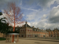 Op plein voor paleis Het Loo staat een klassieke, historische Oranjeboom. Oranjebomen werden geplant als herinnering aan heuglijke gelegenheden van het koningshuis. Zes klassieke zuilen staan als een hekje om de oranje geverfde boom heen. Zij dragen de â€˜buxuskroonâ€™. Kunstwerk 'Un Arbre Royal' is van kunstenaar Tirza Verrips. gm[[52.23299401641135, 5.945910215377808]]